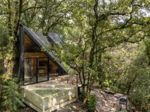 Tawny DJI_20251004141300_0194_D-HDR