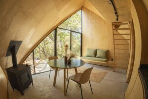 Tawny DSC03258-HDR copia